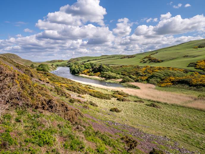 image of a scottish loch surrounded by heathland